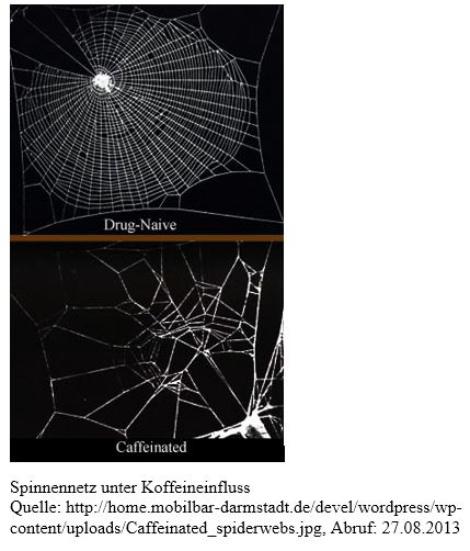 Spinnennetz unter Koffeineinfluss